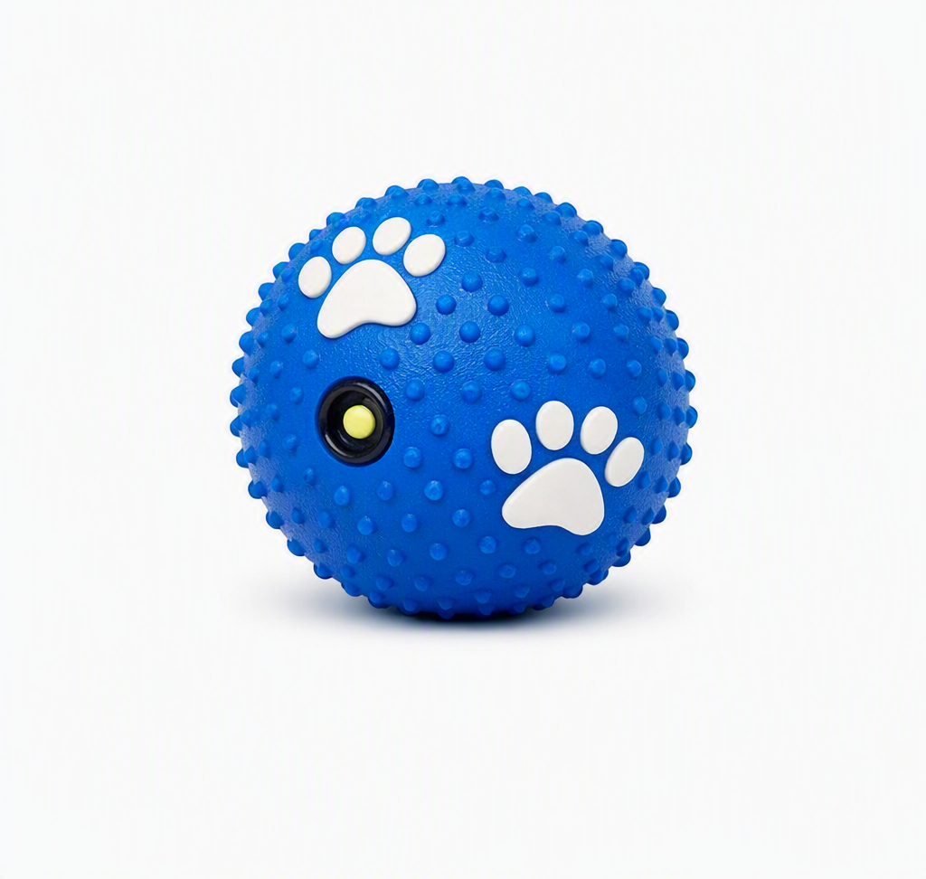 Fetch Toys